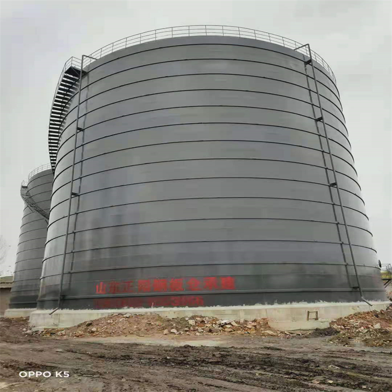 黔西3万吨大型钢板库